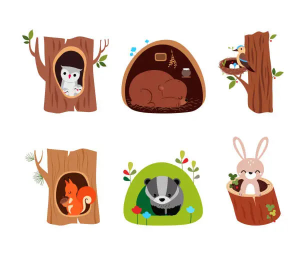 Vector illustration of Forest Animal in Their Cozy Home and Burrow Vector Set
