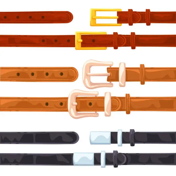 Vector illustration of leather belts 1