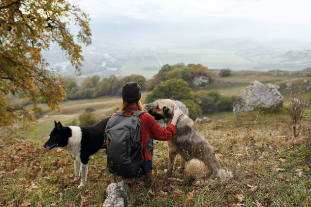 istock woman hikers with dogs on nature vacation with backpack 2117322936