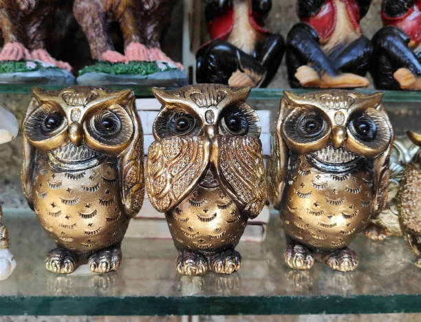 istock Decorative multicolored owl figurines on the shop window 2117330080