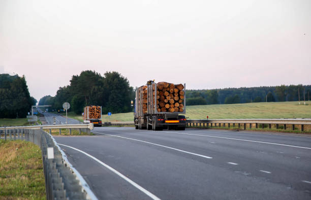 istock Two logging trucks transport round forest logs along the highway in the evening. Back view. Logging as a business, industry. Copy space for text 2117354139