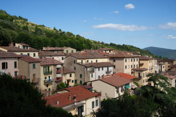 istock Panoramic view from Cortona, Italy, at summer 2117374495