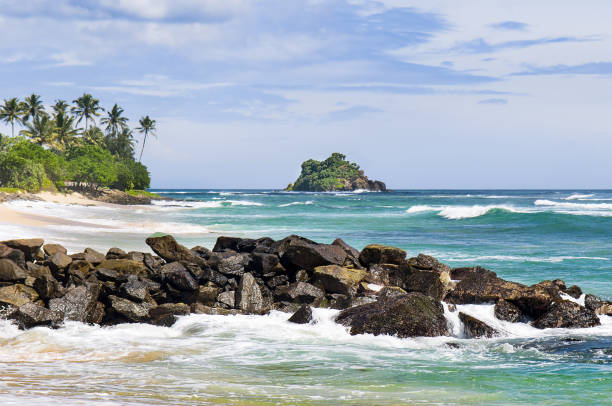 istock Tropical beach with coconut palms on shore. 2117452508