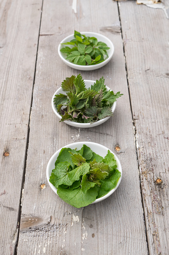 White bowls with fresh stinging nettle, gourd and garlic rocket on a wooden background