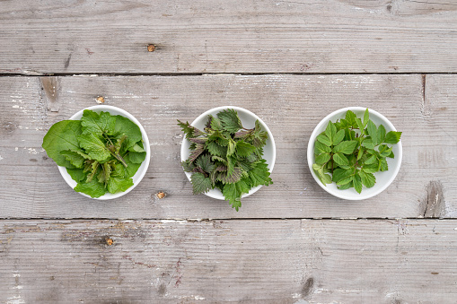 White bowls with fresh stinging nettle, gourd and garlic rocket on a wooden background with copy space