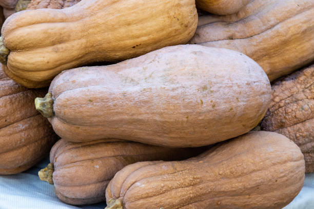 Fresh butternut squash at market