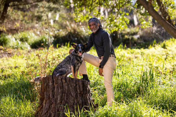 istock Portrait of a Man with Trained Blue Heeler 2117516680