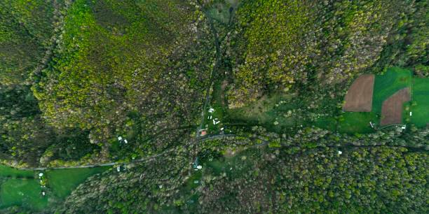 olhando para baixo em uma cidade do vale de rura na virgínia ocidental enquanto voava meu drone a 2.000 pés acima - panoramic great appalachian valley the americas north america - fotografias e filmes do acervo