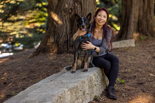 Portrait of a happy, Asian American woman in the park with her well-trained Blue Heeler, Australian Cattle Dog  enjoying each other's company on a bright and sunny day.