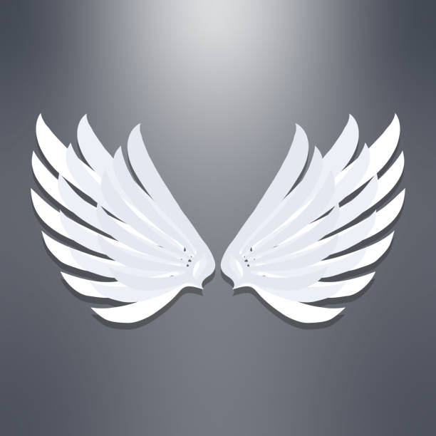 istock Angel wings, realistic angel wings with shadow on a gray background. Vector, cartoon illustration. Vector. 2117544770