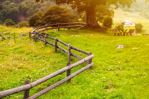 Green fields and farmlands with a wooden fence
