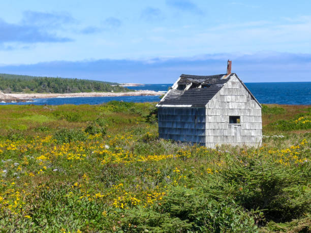 istock abandoned building on the coastline 2117555256