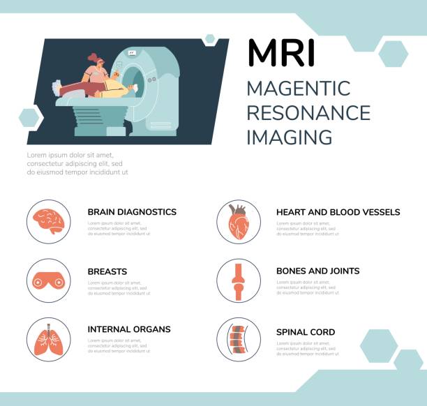 ilustraciones, imágenes clip art, dibujos animados e iconos de stock de disposición de vectores de información que explica las etapas de un examen de resonancia magnética. - mri scanner cat scan mri scan cartoon