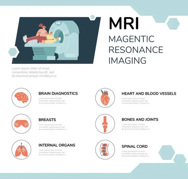 Vector illustration of Information vector layout explaining the stages of an MRI examination.