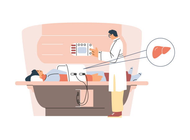 医師が肝臓のmriを実施 - ベクトル図。 - mri scanner cat scan mri scan cartoon点のイラスト素材／クリップアート素材／マンガ素材／アイコン素材