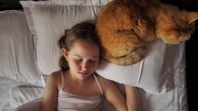 Top view: a cute little girl with brown hair sleeping sweetly on a bed with white linen and a ginger cat sleeping next to her on the pillow. Healthy sleep for a child with his favorite pet.
