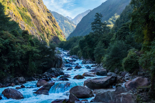 istock Tamor River on route to Kanchenjunga Base Camp Trek, Nepal 2117579375