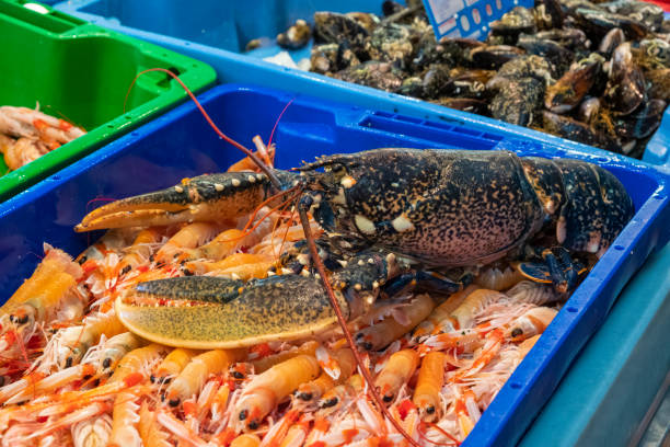 un homard dans une poissonnerie près du port de pêche dans une boîte d’écrevisses - seafood lobster paella prepared shellfish photos et images de collection