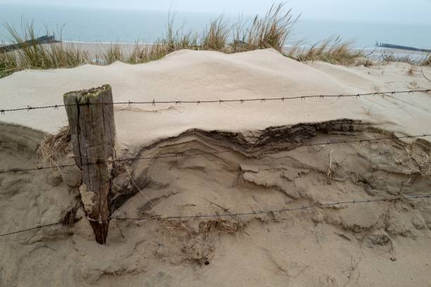 Scenes from Jones Beach bike path.