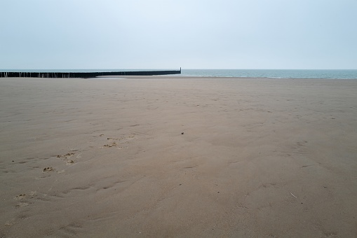 old wooden breakwaters on the north sea in Zeeland Netherlands