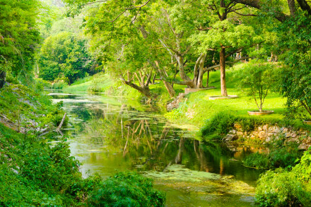 View along Waterfront of small river Muak Lek in Saraburi province