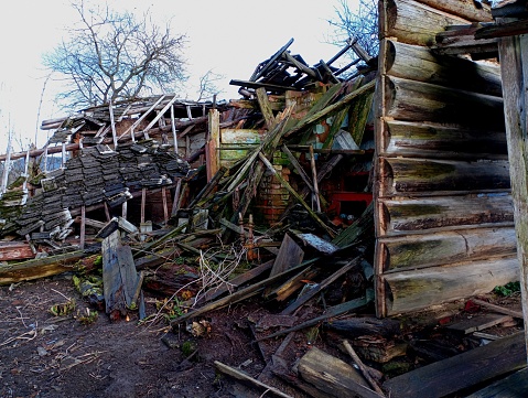 The ruin of an old wooden house with destroyed walls. A wooden house with rotten wooden walls. Remains of a house in the village.