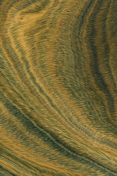 istock Green and brown PaloSanto wooden pattern. 2117685535