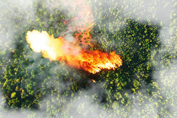 Forest fires. Green forest with fire and smoke. Global warming