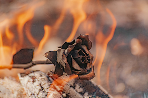 Metaphorical installation with a forged rose in fire and smoke