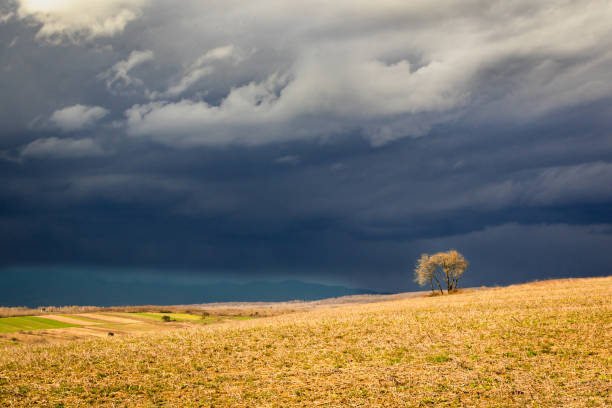 Spring landscape of the mountains before a thunderstorm