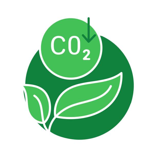 istock Low Carbon Footprint. Eco-friendly Footprints: Reduce environmental impact with low carbon footprint initiatives. 2117719971