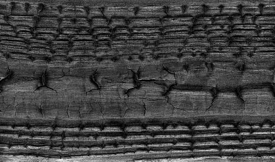 High angle view of a flat textured wooden board backgrounds.It burnt and black colored with fire skill.It is carbonization the surface. It has a beautiful nature and abstractive pattern. A close-up studio shooting shows details and lots of wood grain on the wood table. The piece of wood at the surface of the table also appears rich wooden material on it. The wood is black and pattern on the bottom. Flat lay style. Its high-resolution textured quality. The close-up gives a direct view on the table, showing cracks and knotholes in the wood.