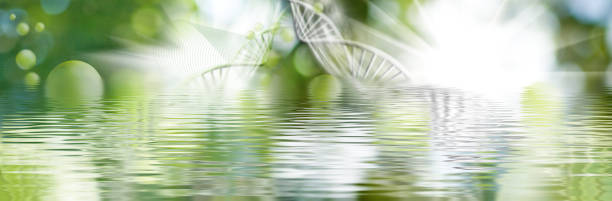 istock image of stylized DNA chains and balls of different sizes immersed in water 2117731440