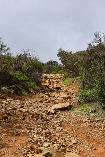 istock Rough rocky terrain leading up the trail 2117747524