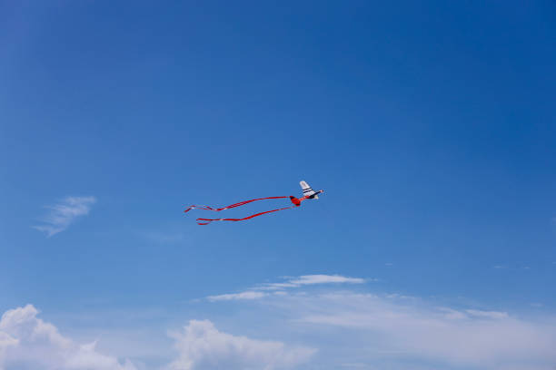 Airplane themed kite flying overhead