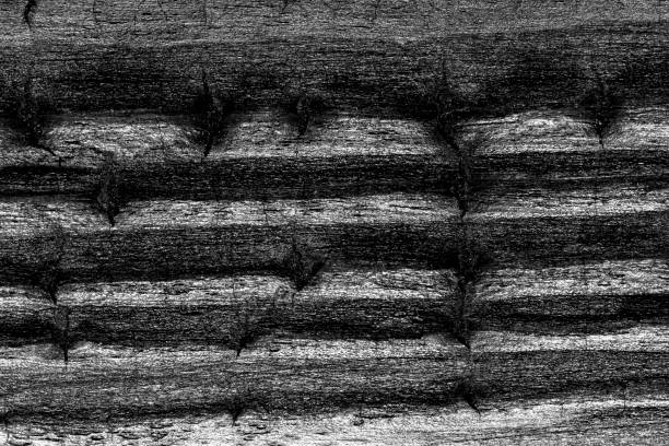 High angle view of a flat textured wooden board backgrounds.It burnt and black colored with fire skill.It is carbonization the surface. It has a beautiful nature and abstractive pattern. A close-up studio shooting shows details and lots of wood grain on the wood table. The piece of wood at the surface of the table also appears rich wooden material on it. The wood is black and pattern on the bottom. Flat lay style. Its high-resolution textured quality. The close-up gives a direct view on the table, showing cracks and knotholes in the wood.