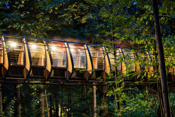 istock The eco pathway at VDNKh, Moscow. 2117761732