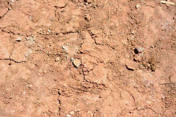 a close up of a red dirt ground with cracks