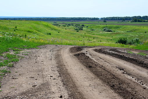 a dirt road with a tire track on it and green grass