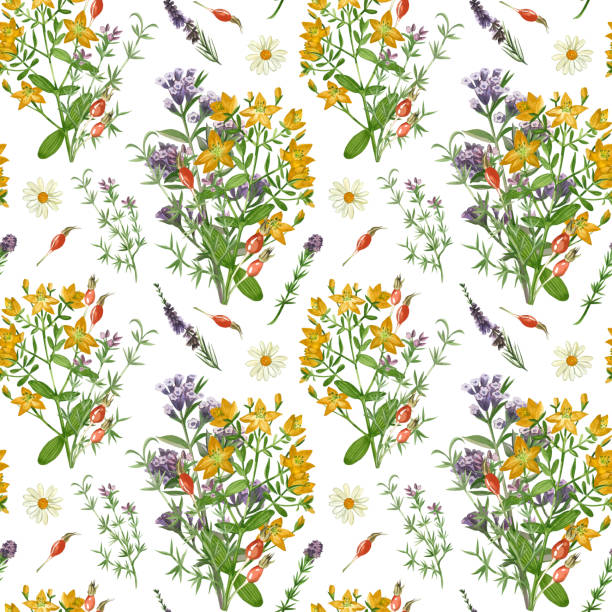 istock Meadow grasses and flowers. Seamless pattern of echinacea, lungwort, oregano and hypericaceae. All elements are hand-painted in watercolor on a white background. For printing on fabric, paper 2117816100