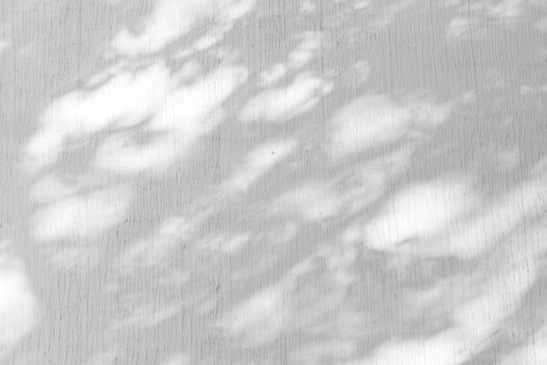 istock Shadow Of Leaves Reflected On The White Wall 2117870181