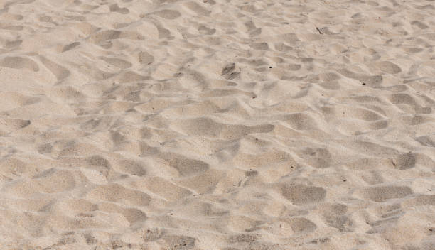 istock Close up of sandy beach Miami Florida 2117879129