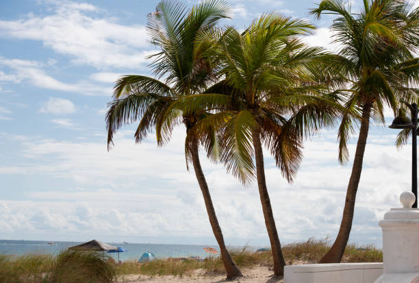 Close up Sandy beach over sunny blue sky in Sarasota, Florida, USA