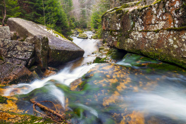 A beautiful view of a romantic stream in a wild mountain valley, Czech republic.