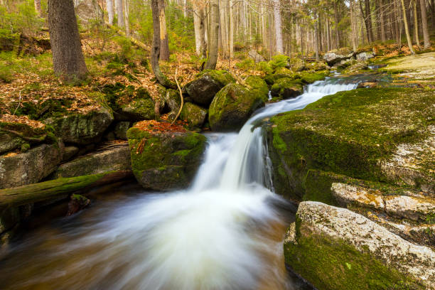 A tranquil setting featuring a clear waterfall cascading in a tranquil forest. The scene showcases lush greenery, moss-covered stones, and a serene stream, creating a soothing and picturesque environment perfect for relaxation and nature appreciation.