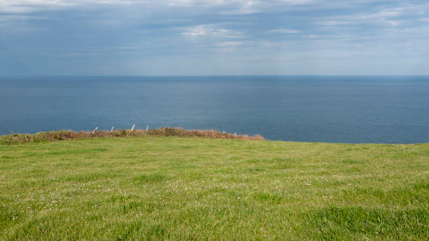 istock Green pasture by the sea 2117905002