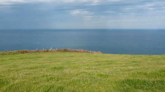 Green pasture by the sea