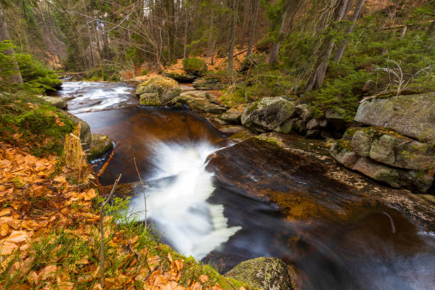 A beautiful view of a romantic stream in a wild mountain valley, Czech republic.