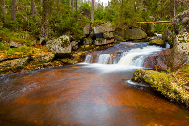 istock A beautiful view of a romantic stream in a wild mountain valley 2117909938