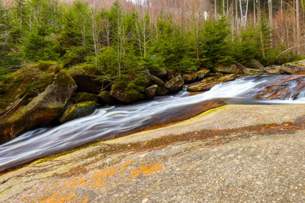 A beautiful view of a romantic stream in a wild mountain valley, Czech republic.